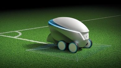 جوجه رباطی که زمین فوتبال را هوشمندانه خط کشی میکند+فیلم