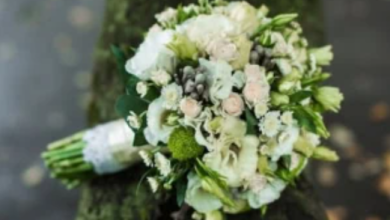 اولین ماشین عروس جهان؛ یک اثر تاریخی از قرن ۱۹