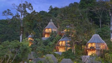 هتل آشیانه پرنده جایی که می‌توانید در میان ابر‌ها اقامت کنید! + فیلم