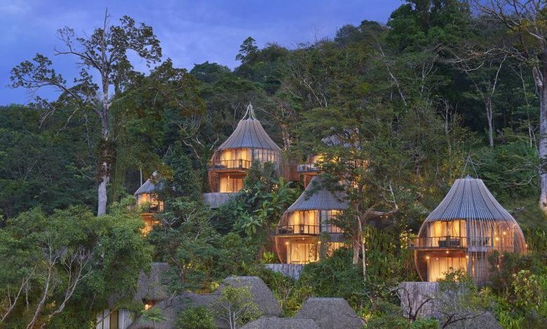 هتل آشیانه پرنده جایی که می‌توانید در میان ابر‌ها اقامت کنید! + فیلم