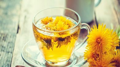 با خواص بی‌نظیر گیاه قاصدک برای کبد آشنا شوید + فیلم