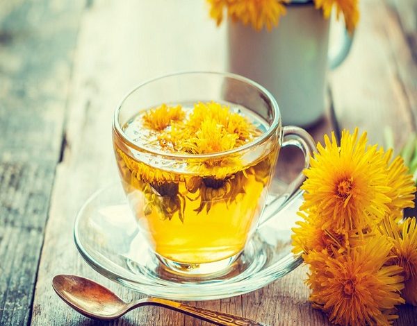 با خواص بینظیر گیاه قاصدک برای کبد آشنا شوید + فیلم