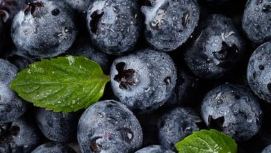  خواص شگفت انگیز بلوبری را بشناسید!