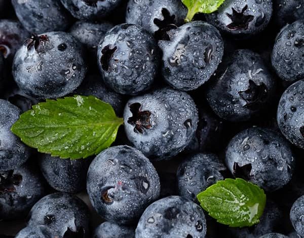  خواص شگفت انگیز بلوبری را بشناسید!