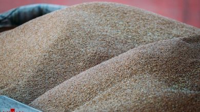 اطلاعیه وزارت جهاد کشاورزی در مورد ثبت سفارش بدون تمدید