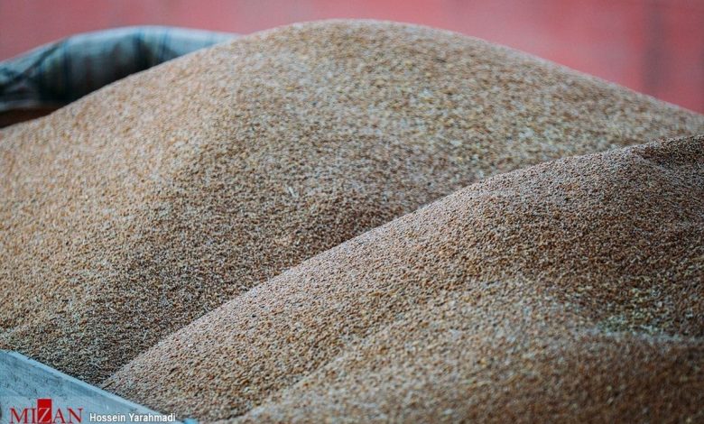 اطلاعیه وزارت جهاد کشاورزی در مورد ثبت سفارش بدون تمدید