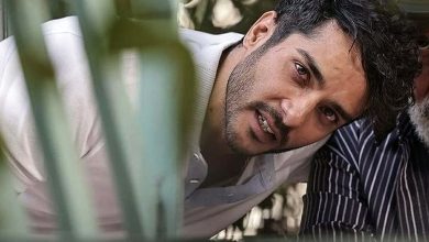 صحبت های دوپهلوی ساعد سهیلی درپی جنگ ایران و اسرائیل+تصویر