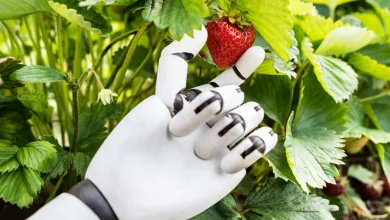 هوش مصنوعی در برابر گل‌ها شکست خورد