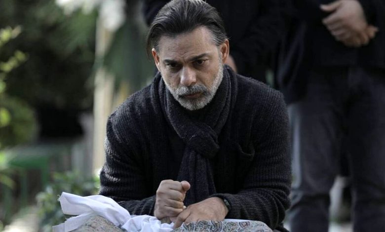 پیمان معادی