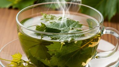 دمنوش برگ مو؛ نوشیدنی طبیعی برای سلامت قلب و گوارش