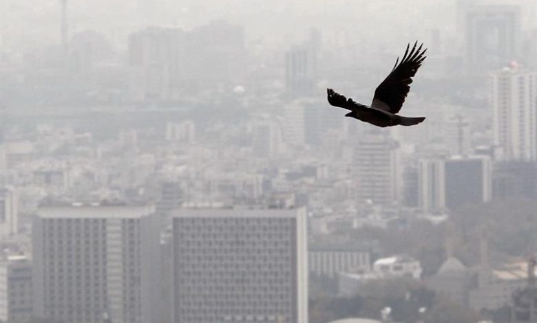 درخواست افزایش کمیسیون مشاوران املاک در بحبوحه رکود تاریخی بازار مسکن