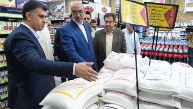 بازار برنج در مسیر ثبات: قیمت‌ها به تدریج منطقی می‌شوند