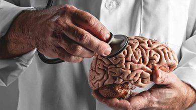 دانشمندان استخراج و شبیه‌سازی خاطرات پس از مرگ را ممکن می کنند؟+فیلم