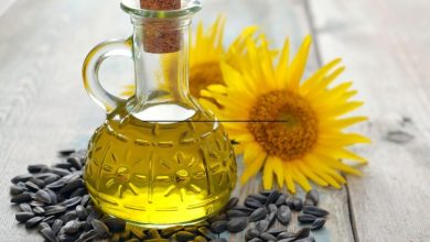 روغن دانه‌ها