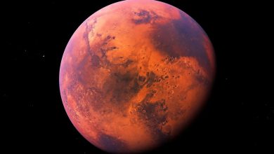 سنگ عجیب در مریخ
