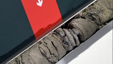 ۷۰ میلیون ساله زیر پارکینگ موزه