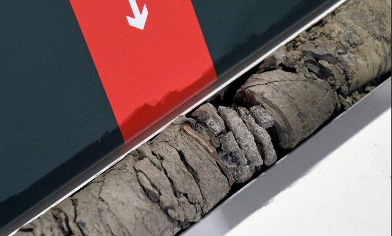 ۷۰ میلیون ساله زیر پارکینگ موزه