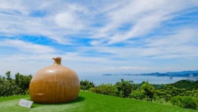 اولین موزه پیاز جهان در این جزیره راه‌اندازی شد! + فیلم