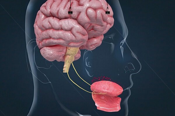 زبان گرافنی با هوش مصنوعی، مزه‌ها را مثل انسان می‌چشد!