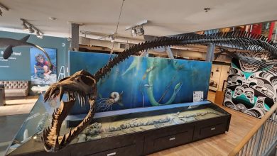 هیولای ۱۲ متری