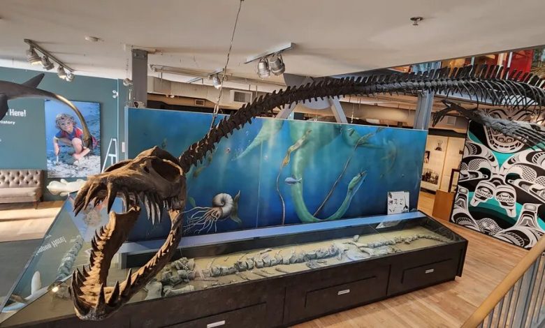 هیولای ۱۲ متری