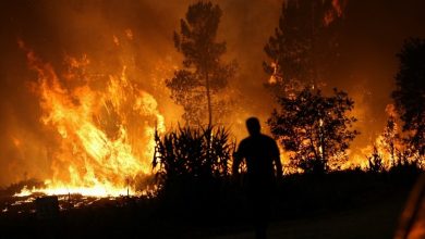 تصاویر هولناک آتش سوزی گسترده در جنگل‌های فرانسه + فیلم