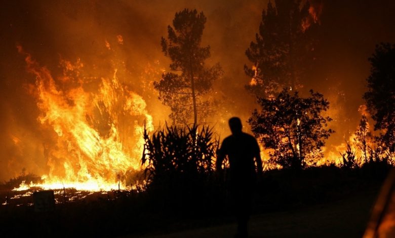 تصاویر هولناک آتش سوزی گسترده در جنگل‌های فرانسه + فیلم