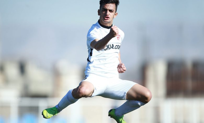 مجتبی فخریان،