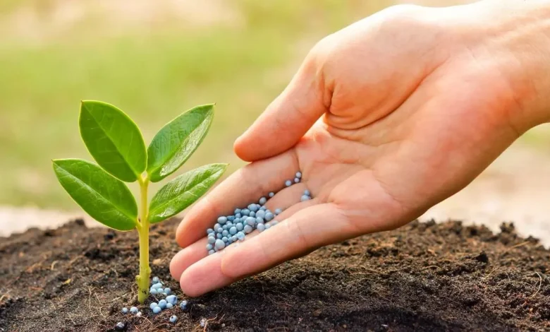 کود شیمیایی کشاورزان به زودی‌ توزیع خواهد شد