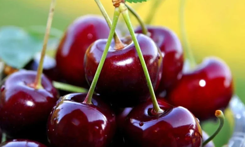 ۷ خاصیت شگفت‌انگیز گیلاس که نباید از آن غافل شوید