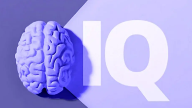 درخشش ذهن ایرانی‌ها در رتبه‌بندی جهانی IQ سال ۲۰۲۵