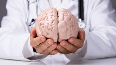 مغز انسان می‌تواند نور تولید کند + عکس