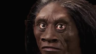 انسان فلورسی