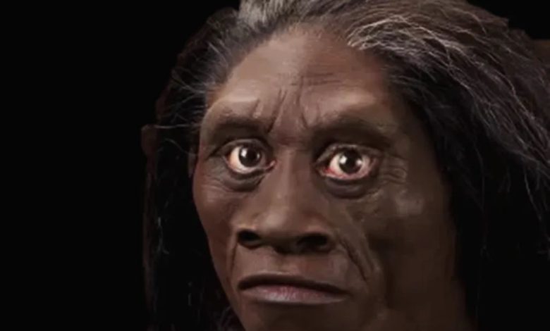 انسان فلورسی