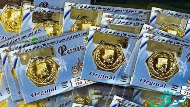 قیمت سکه پارسیان در ۲۴ تیر ۱۴۰۴: ثبت تغییرات از ۵۰ صوت تا ۱ گرم