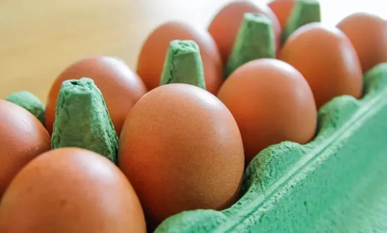 نشانه های مهم برای شناختن تخم مرغ های فاسد را بشناسید