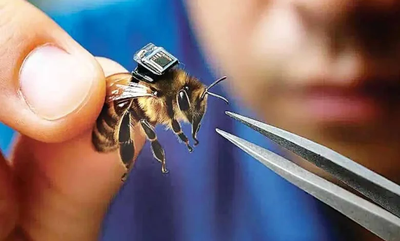زنبور‌های جاسوس