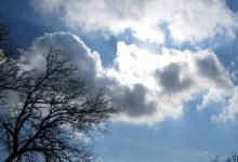 هواشناسی زمان کاهش دمای کشور را اعلام کرد + فیلم