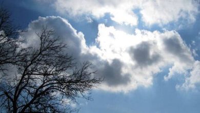 هواشناسی زمان کاهش دمای کشور را اعلام کرد + فیلم