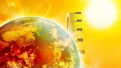 هشدار گرمای بی‌سابقه؛ دمای ۵۰ درجه در این استان ثبت شد+فیلم