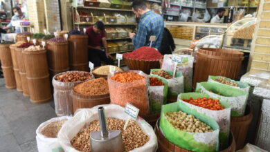 رازهای تلخ وعجیب عطاری‌ها؛ از پودر مارمولک تا روغن خرس!