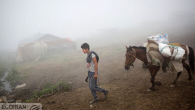 وام ۴۰۰ میلیونی برای این افراد + جزئیات