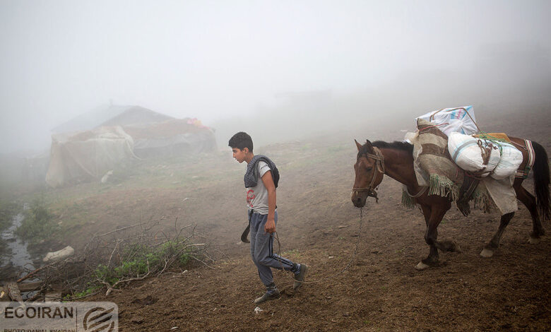 وام ۴۰۰ میلیونی برای این افراد + جزئیات